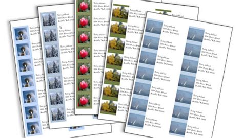 Print Return Address Labels 的图像结果