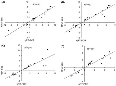 Transcriptomic Profiling Identifies Candidate Genes Involved in the ...