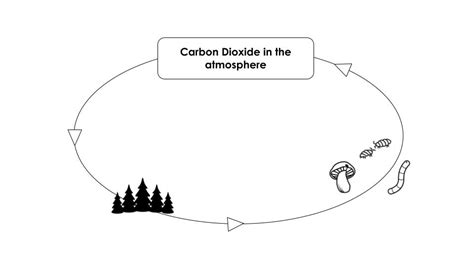 Science Cycle 的图像结果