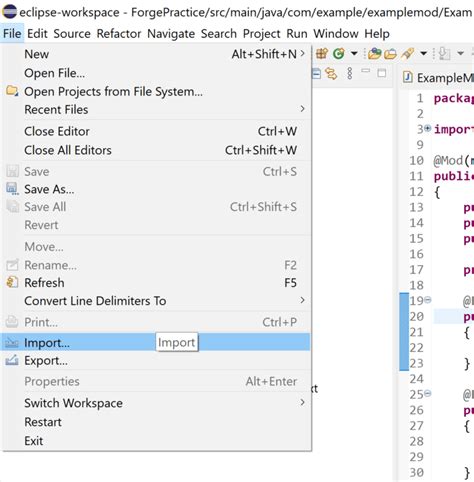 Import Settings Minecraft Java 的图像结果