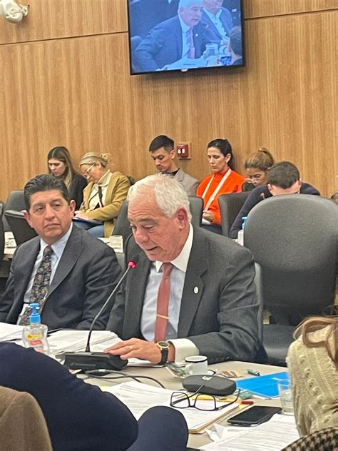 Image result for General Defensor