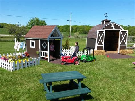 Fun for the family. - Reviews, Photos - Plum Loco Animal Farm - Tripadvisor