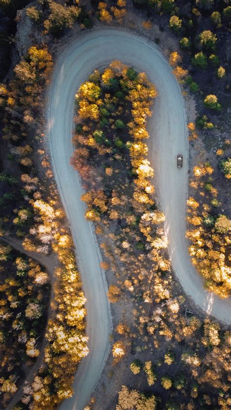 Download wallpaper 1080x1920 road, car, aerial view, trees, turn ...