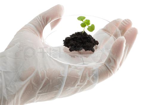 生物技术图片 的图像结果