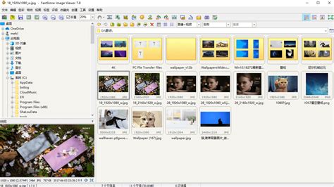 Install FastStone Image Viewer 的图像结果