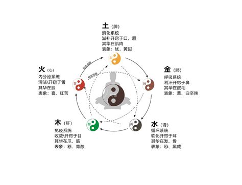 金木水火土|平面|信息图表|wangxpning - 原创作品 - 站酷 (ZCOOL)