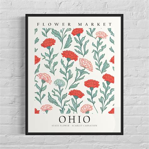 Ohio State Flower, Ohio Flower Market Art Print, Scarlet Carnation 1960 ...