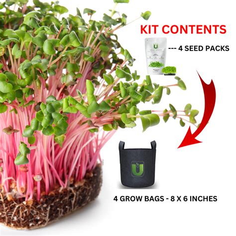 Micro Green Kit MAX – Urja Seeds