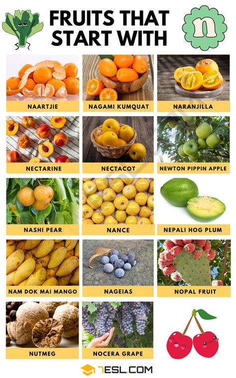 Fruits that Start with N in English • 7ESL