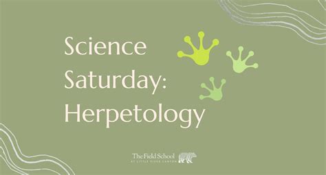Science Saturday: Herpetology - Reptiles and Amphibians, 4322 Little ...