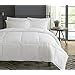 Threadworks Hotel Feel Ultra Soft Microfiber AC Comforter/Quilt/Duvet ...