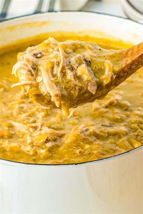 Colorado Green Chili (Chili Verde) | The Novice Chef