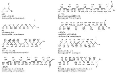 The Modulatory Effects of Fatty Acids on Cancer Progression