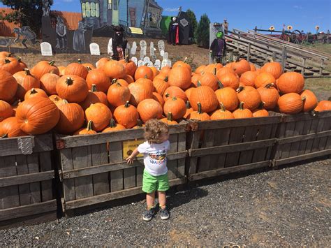 Best pumpkin patches near philly for kids that are worth the drive ...