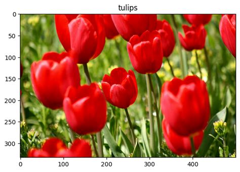 Image result for Data Augmentation Tensorflow