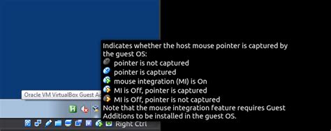 Image result for Mouse Integration VirtualBox Error