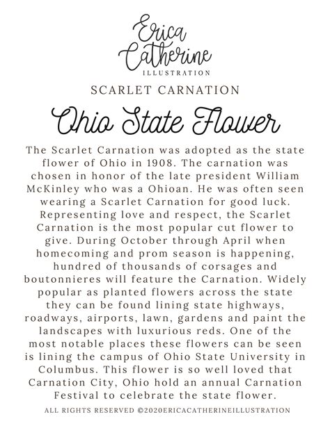 Ohio State Flower Map Vinyl Sticker – Erica Catherine