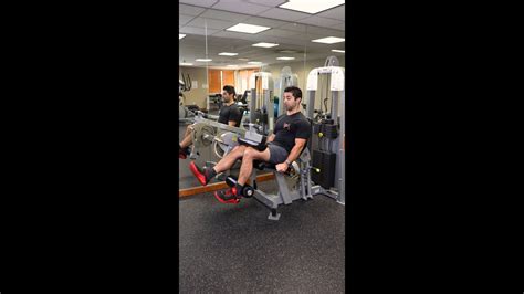 Image result for Hamstring Curl with Weight Machine