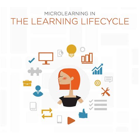 Image result for Learning Life Cycles