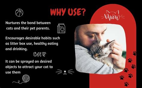 VetSafe Catnip Spray 200 ml| Cat Attractant Spray| Stimulate Playful ...