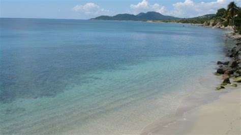 Welcome to Vieques, Puerto Rico! | Condé Nast Traveller India