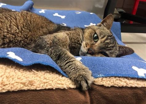 Charity Work 的图像结果