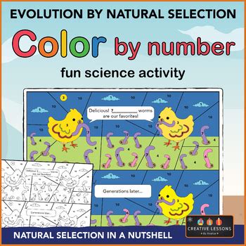 Rezultat imagine pentru Fun Science Activity