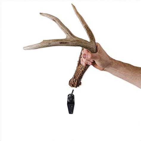 Rack Hub RH1 Single Antler Display : Amazon.in: Sports, Fitness & Outdoors