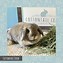 Image result for Baby Holland Lop Bunny Breeders