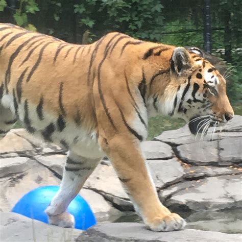 BLANK PARK ZOO (2025) All You Need to Know BEFORE You Go (with Photos ...