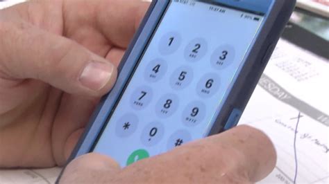 The story behind the numbers: animal shelter explains high kill rates