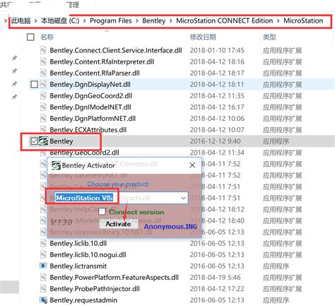 MicroStation Connection 的图像结果