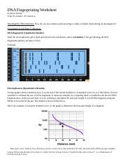 Image result for DNA Fingerprinting Lab Worksheet Printable