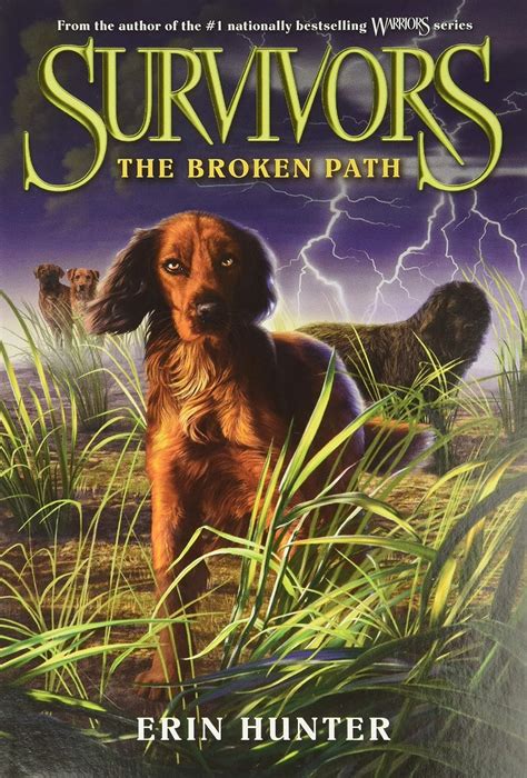 Survivors #4: The Broken Path: Includes 12 Mini-Books Featuring Short ...