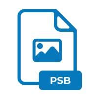 Image result for Open PSB File