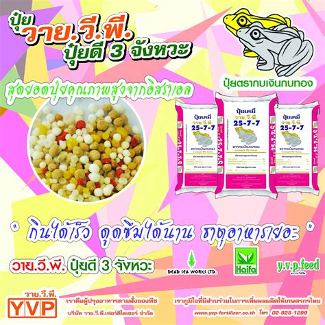 25-7-7 ซัลเฟตแท้ เร่งต้นทุเรียน ใส่ตอนไหน บำรุงอะไร - YVP GROUP