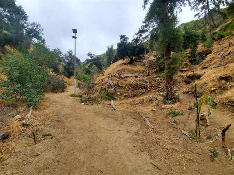 The Secret Shrine of Wattles Garden Park Trail (or Harper Monkey Path ...