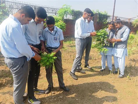 Step to Success School, Award Winning School in Meerut