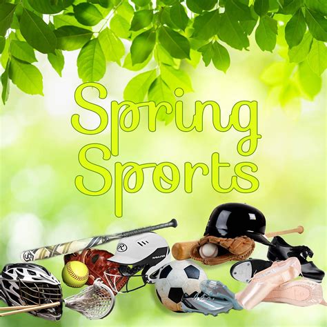 Spring Sports 的图像结果