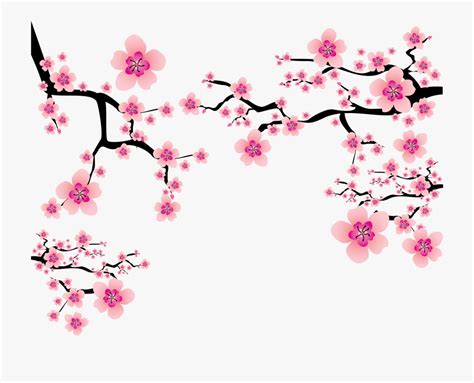 Free Cherry Blossom Cliparts, Download Free Cherry Blossom Cliparts png ...