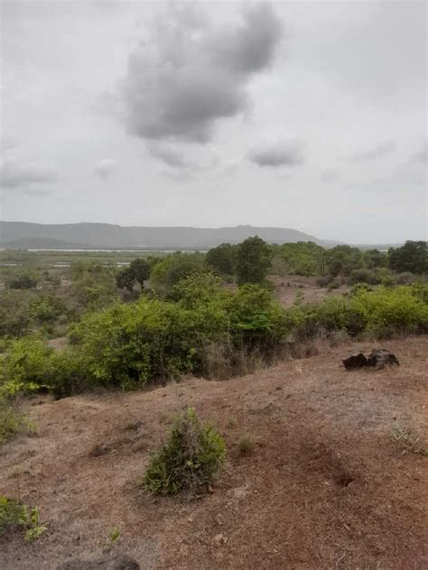 31 Acre Residential Plot for Sale in Revdanda, Raigad - by Varad Real ...