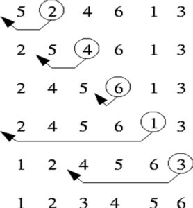 Image result for Insertion Sort Code