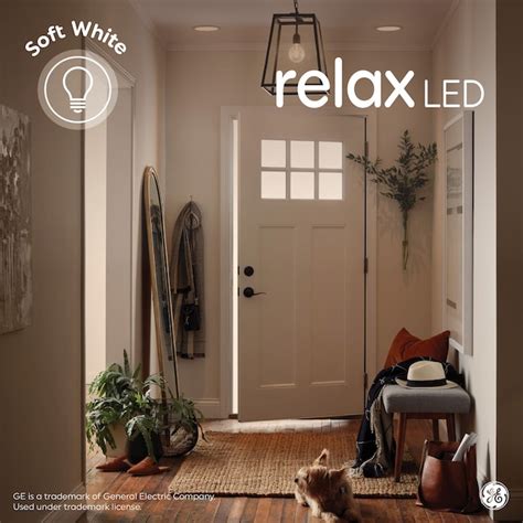 GE Relax HD Spiral Filament 60-Watt EQ ST19 Soft White Medium Base (e ...