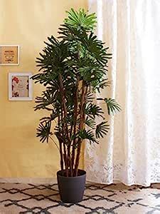 Buy Dream&Decor Decorative Artificial Rhapis Excelsa Plant White Pot ...