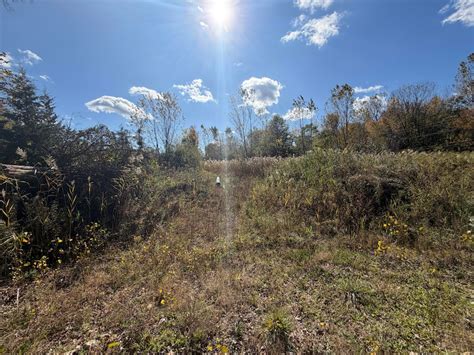 12608 Rawsonville Rd, Belleville, MI 48111 [Lot/Land] | Homes.com