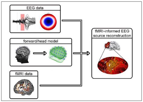 The Fmri Technique Makes Use of Activity-dependent Changes in: