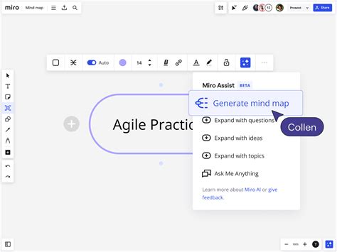 Image result for Miro Features