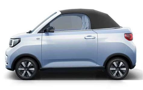 Image result for Wuling Mini EV Capybara