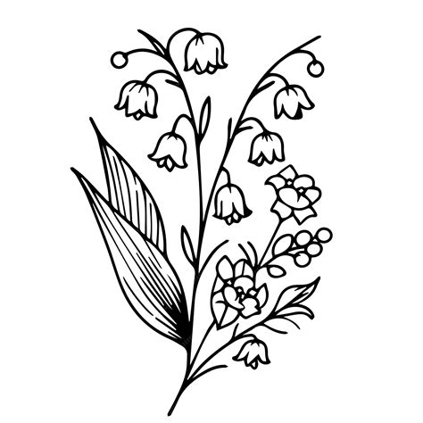 Premium Vector | Lily Of The Valley Line Art Lily Of the Valley outline ...