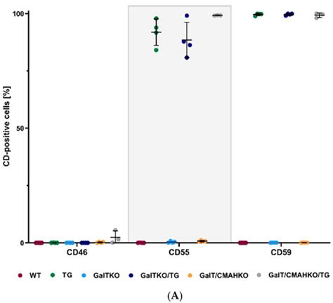 New Insights into Xenotransplantation for Cartilage Repair: Porcine ...